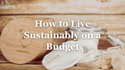 How You Can Live Sustainably on a Budget - Refillism