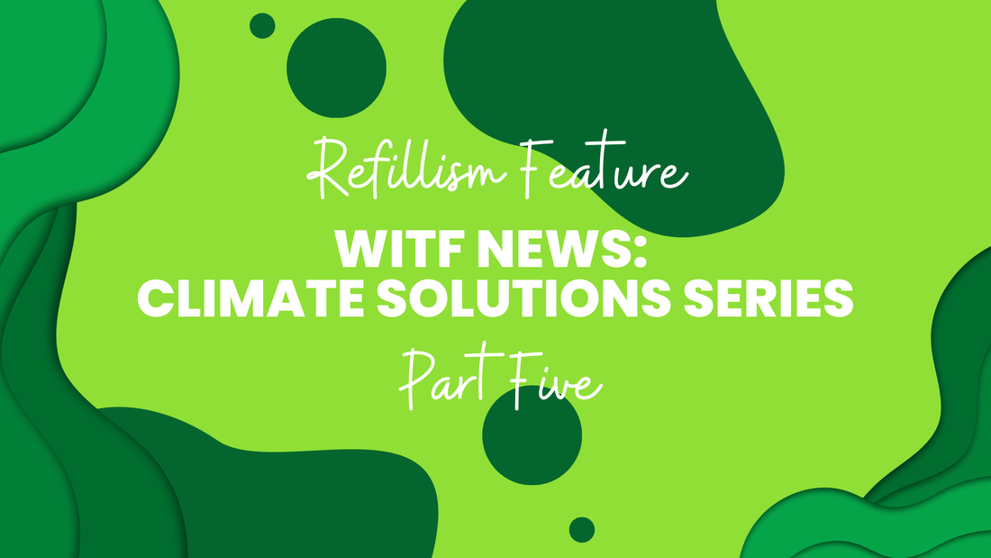 Refillism Feature: WITF News Climate Series Part 5, "Shop Smart" - Refillism