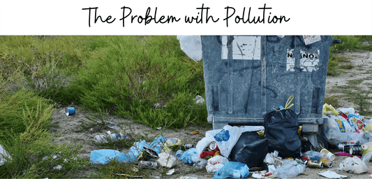 The Problem with Pollution - Refillism