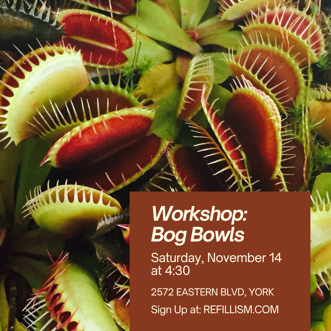 11/14 - Bog Bowls