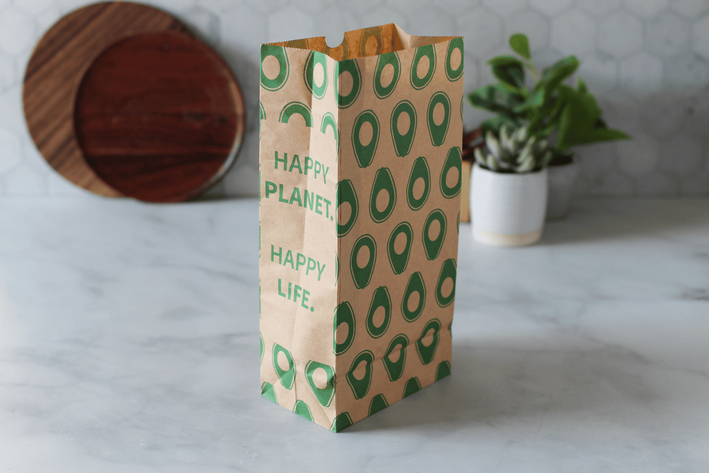 Recyclable Paper Lunch Sacs Variety Pack