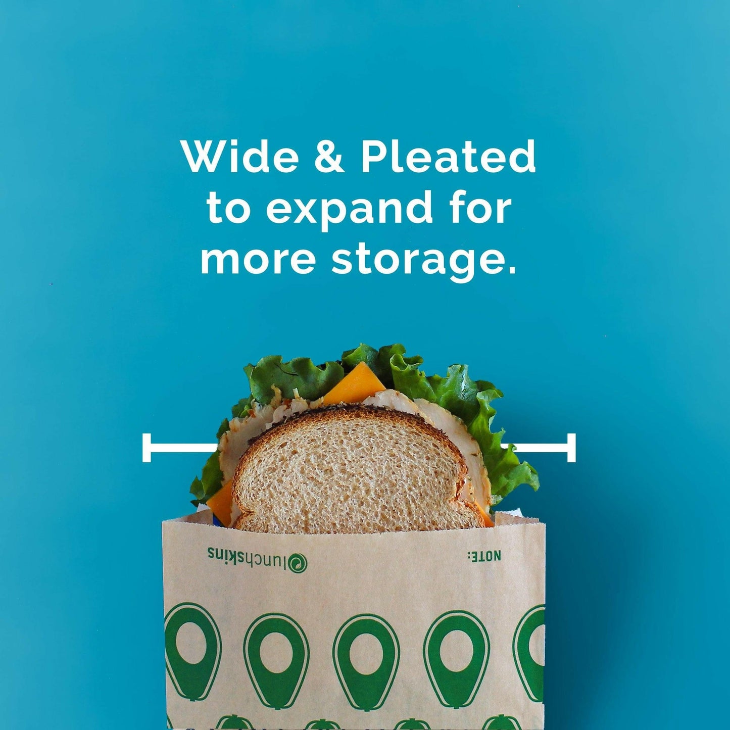 Compostable Paper Sandwich Bags