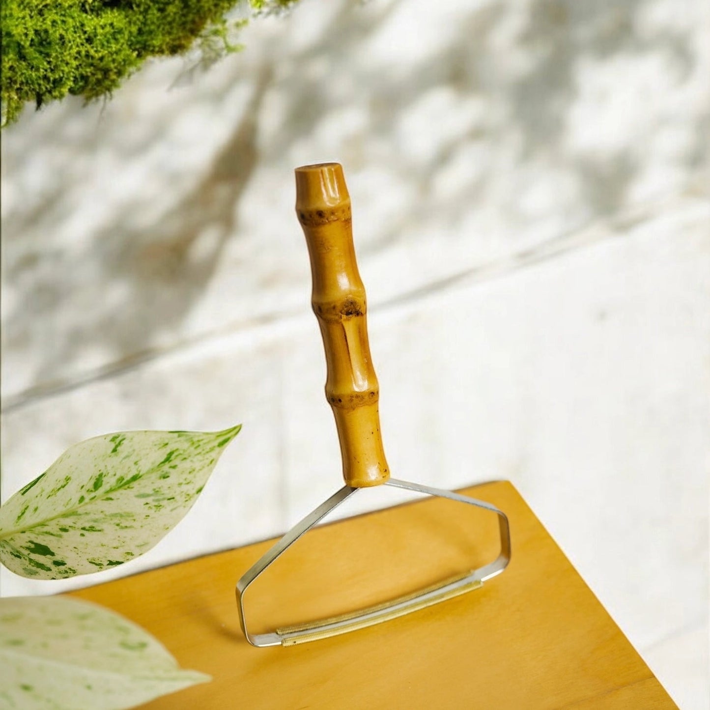 Bamboo Carpet Lint Remover - Home & Cleaning