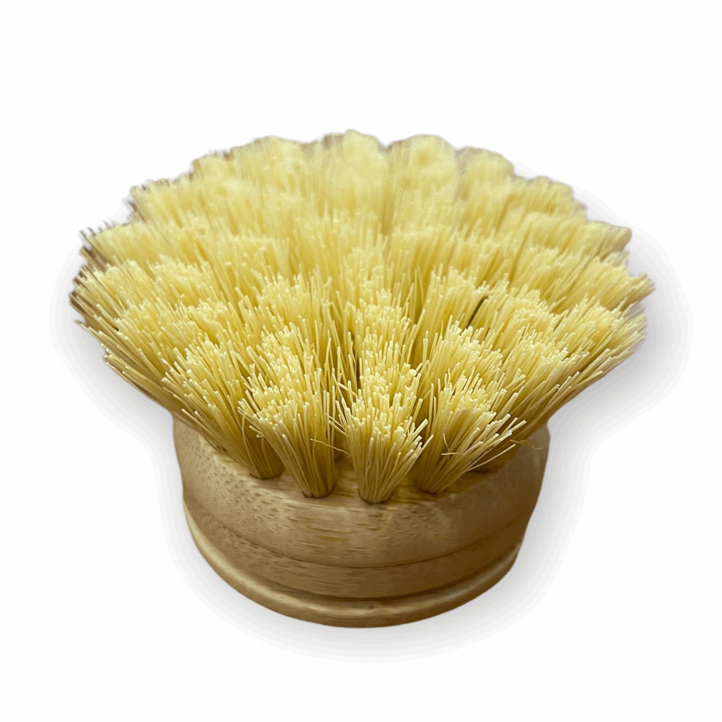 Dish Brush | Long Handle - Home & Cleaning