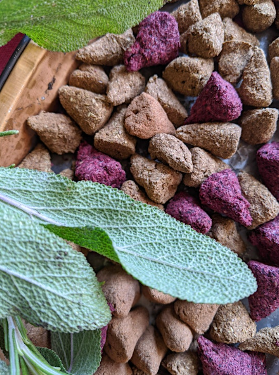 DIY Incense with Herbalist Rissa Miller