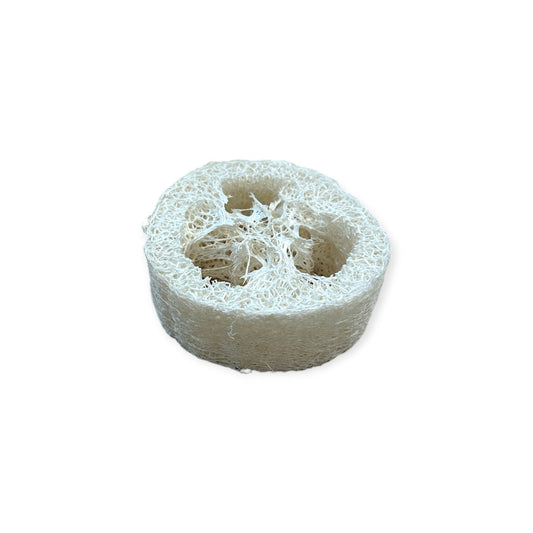Loofah Soap Disc Lift | 1" Thick - Home & Cleaning