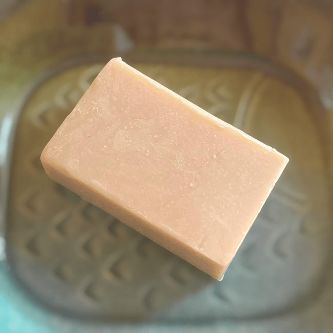 Soap Bar | Almond Coconut - Personal Care