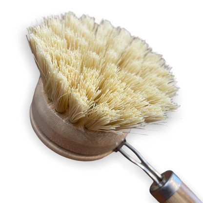 Dish Brush | Long Handle