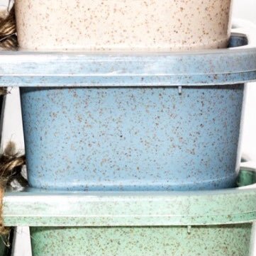 Bento Box - Other Eco - Goods