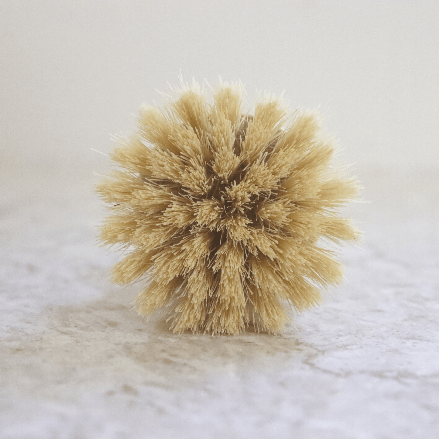 Dish Brush - Home & Cleaning