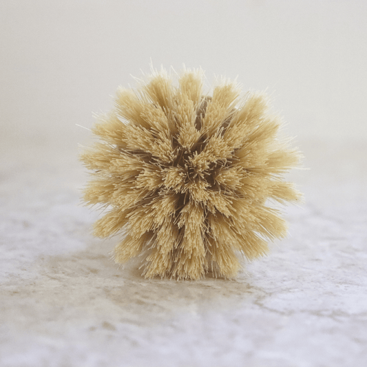 Dish Brush - Home & Cleaning