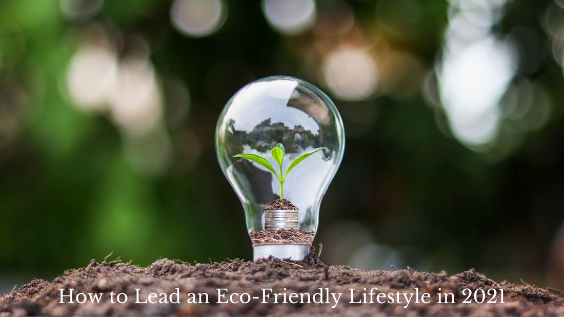 How to Lead an Eco-Friendly Lifestyle in 2021