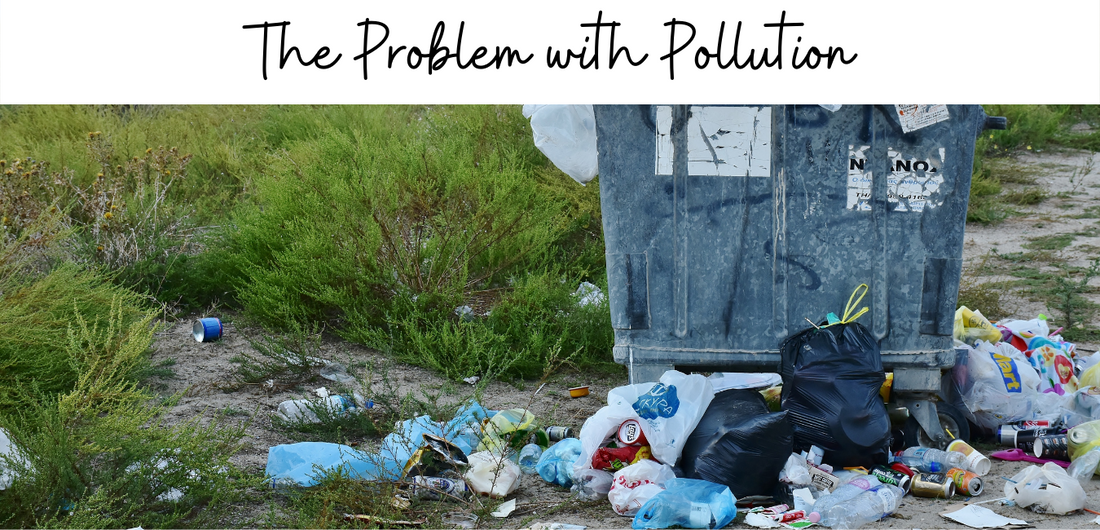 The Problem with Pollution