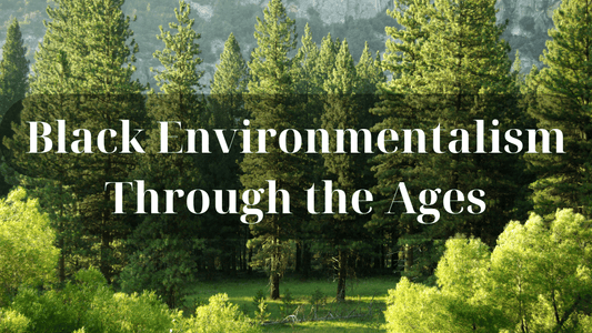 Black Environmentalism Through the Ages - Refillism