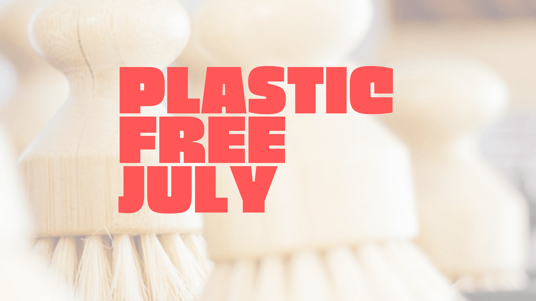 Celebrate Plastic Free July with Refillism: Promotions and Eco-Friendly Commitments - Refillism