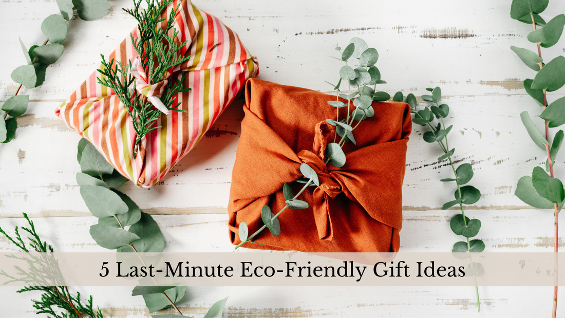 5 Last-Minute Eco-Friendly Gift Ideas