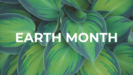 Earth Month at Refillism: Events, Giveaways & Community Impact