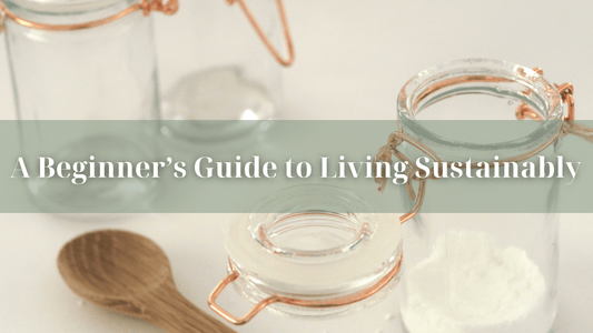 How to Begin Living Sustainably: A Guide - Refillism