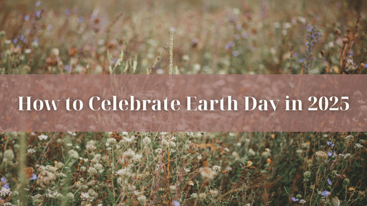 How to Celebrate Earth Day in 2025 - Refillism