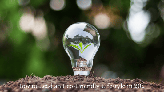 How to Lead an Eco-Friendly Lifestyle in 2021 - Refillism