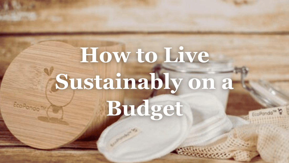 How You Can Live Sustainably on a Budget - Refillism