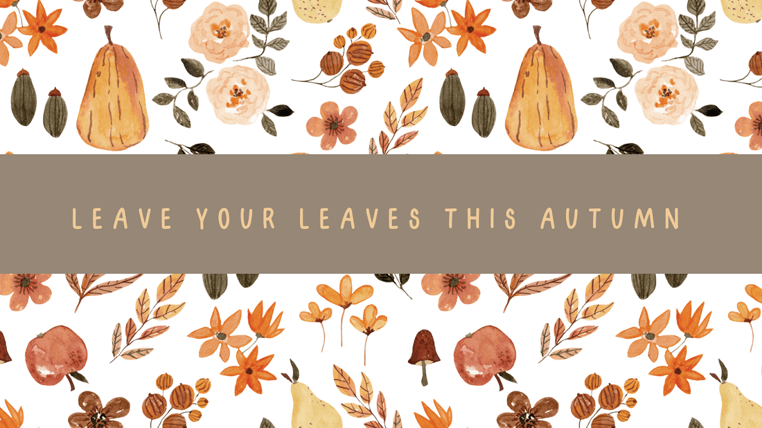 Leave Your Leaves This Autumn - Refillism