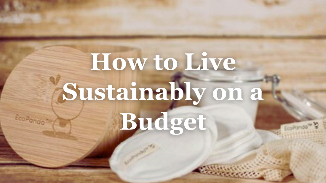 How You Can Live Sustainably on a Budget
