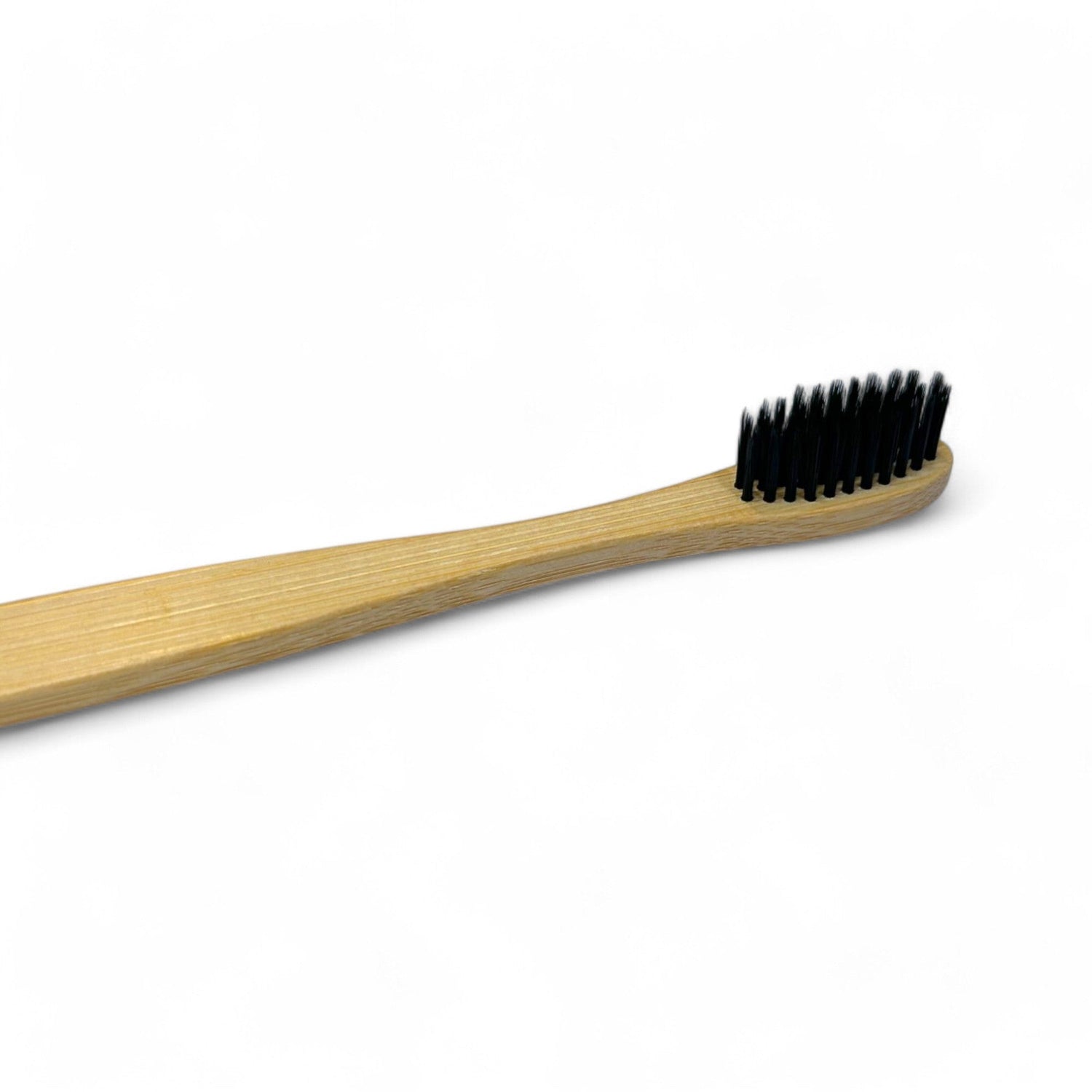 Dental - Refillism