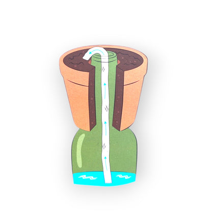 Bottle Planter | Self-Watering Terracotta Bottle Planter