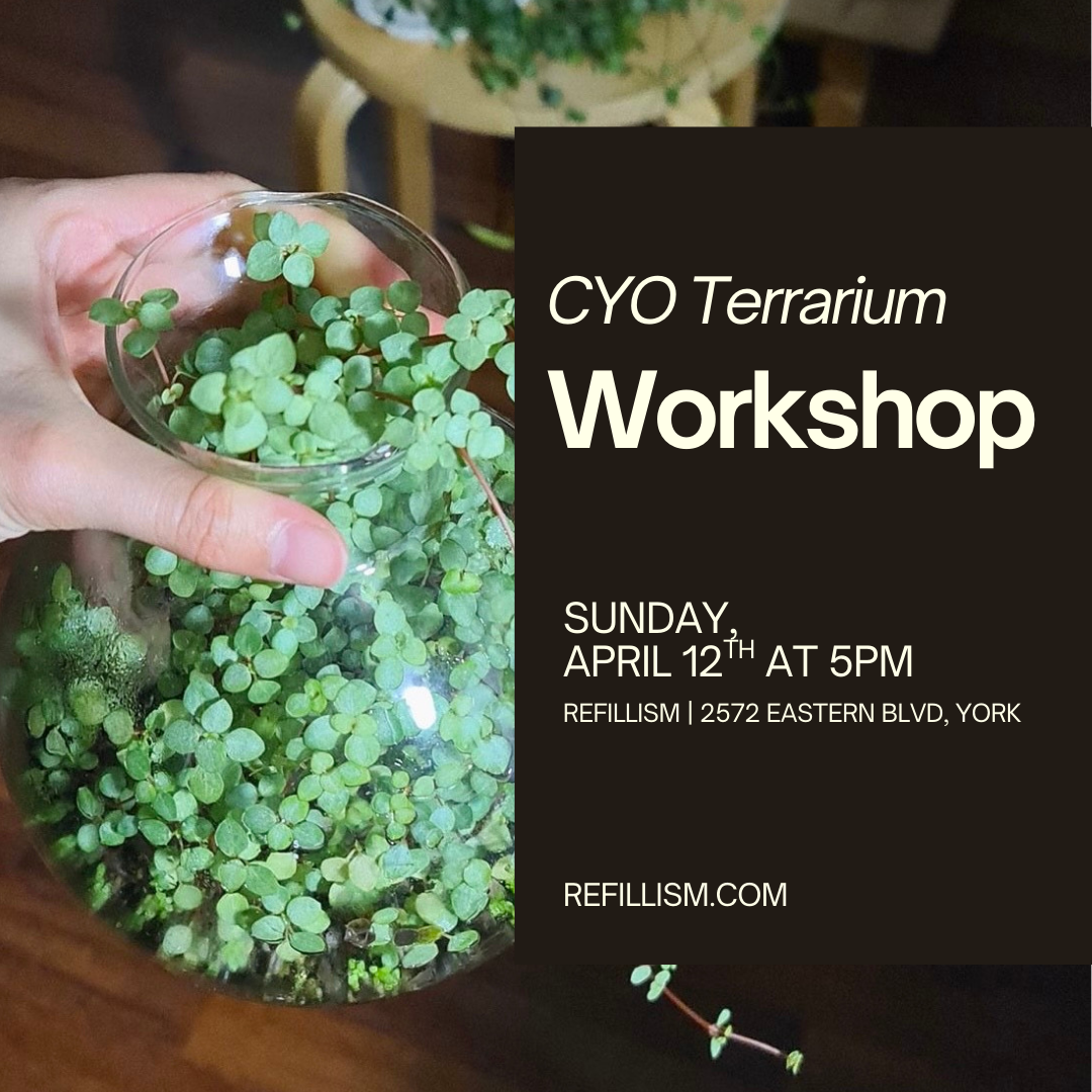 4/12 - CYO Terrarium Workshop