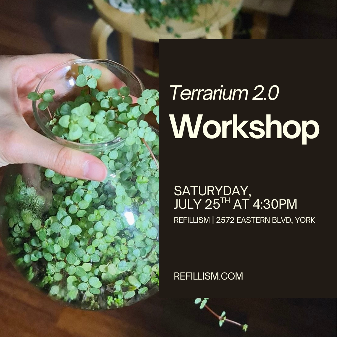 7/25 - Terrarium 2.0