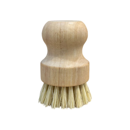 Dish Brush