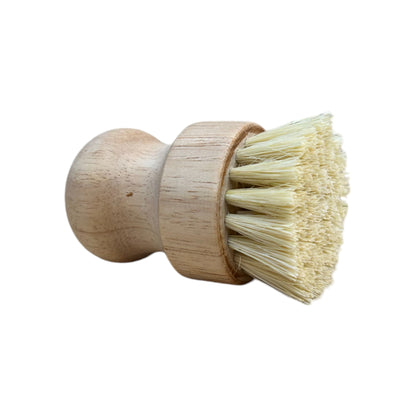 Dish Brush