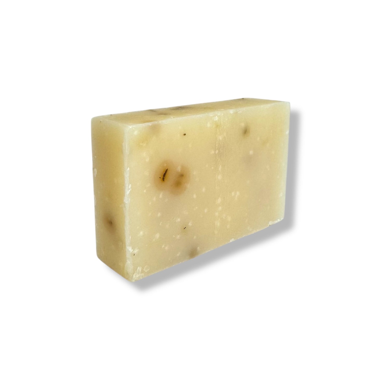 Soap Bar | Eucalyptus Aloe
