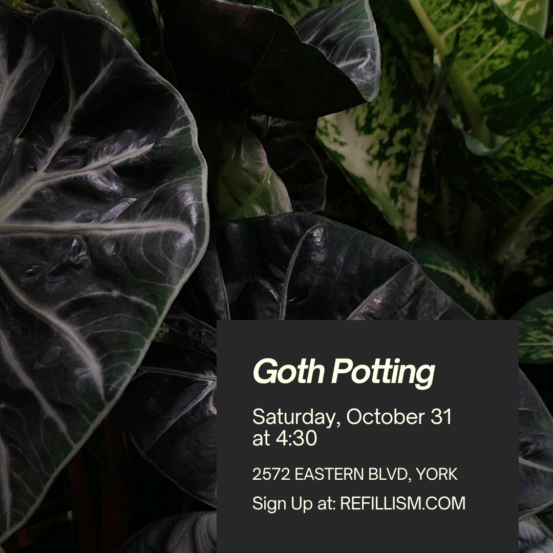 10/31 - Goth Potting