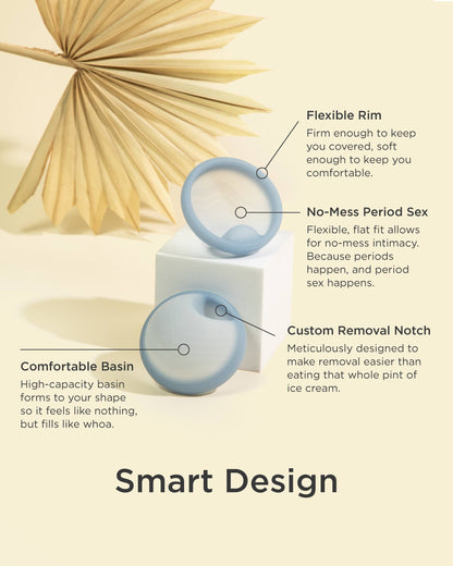 Saalt Disc
