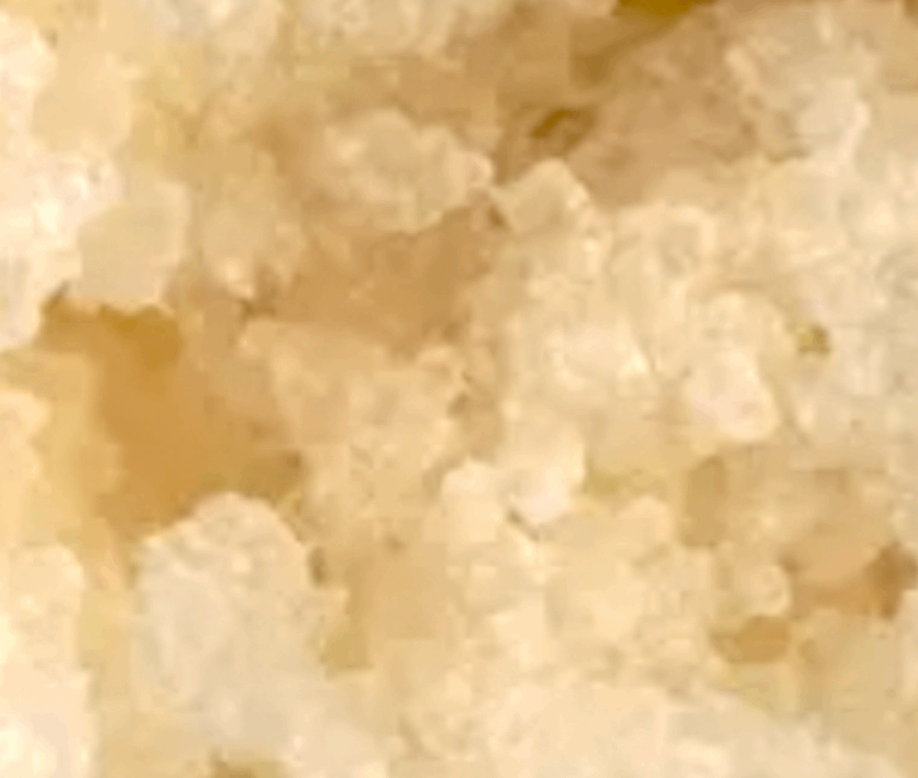 Sugar Scrub | Coconut - Per Oz - Refillism