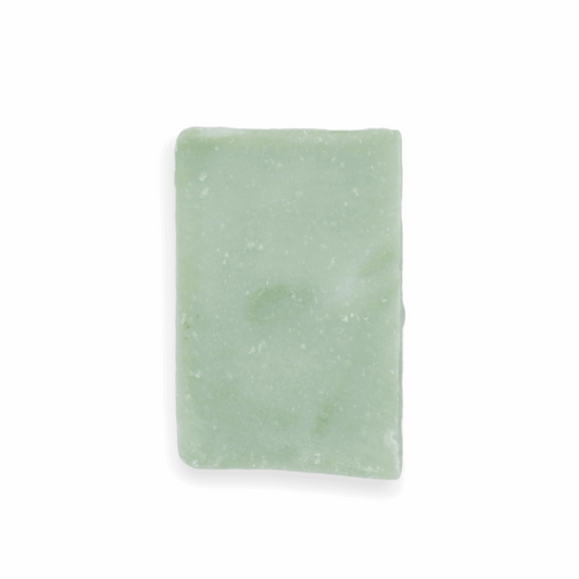 Soap Bar | Aloe & Coconut Milk - Refillism