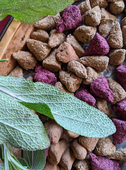 DIY Incense with Herbalist Rissa Miller