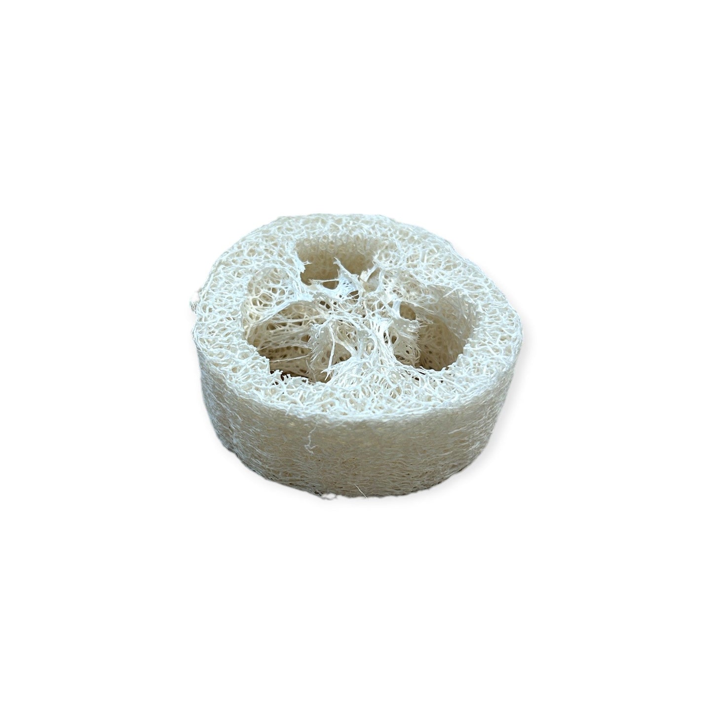 Loofah Soap Disc Lift | 1" Thick - Home & Cleaning