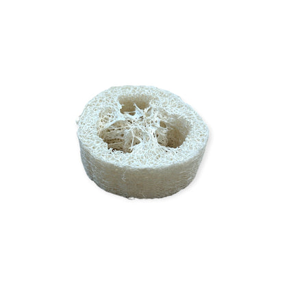 Loofah Soap Disc Lift | 1" Thick - Home & Cleaning