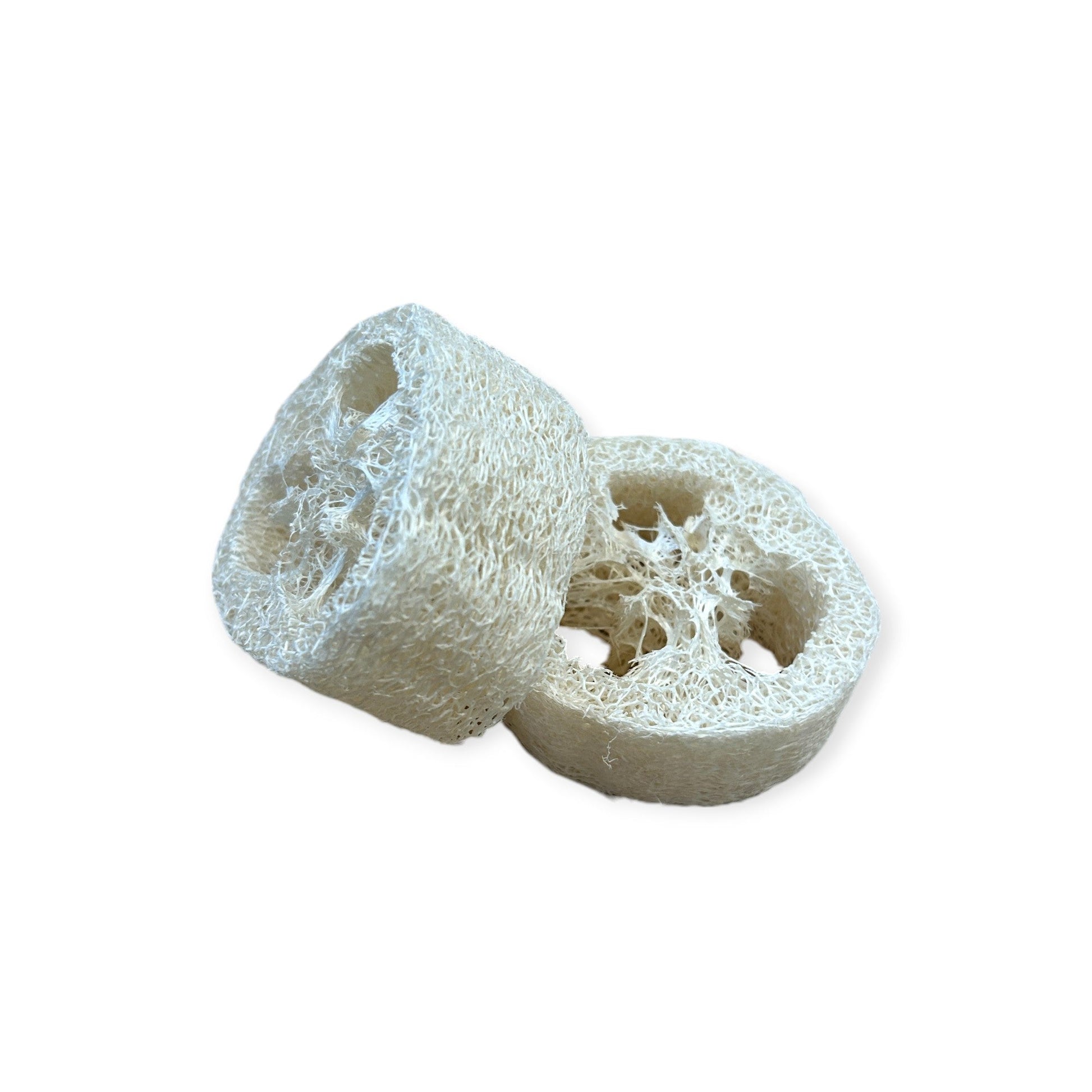 Loofah Soap Disc Lift | 1" Thick - Home & Cleaning