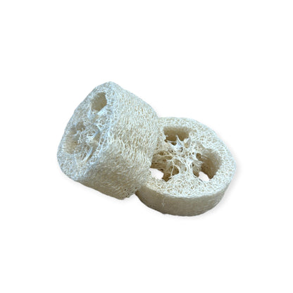 Loofah Soap Disc Lift | 1" Thick - Home & Cleaning