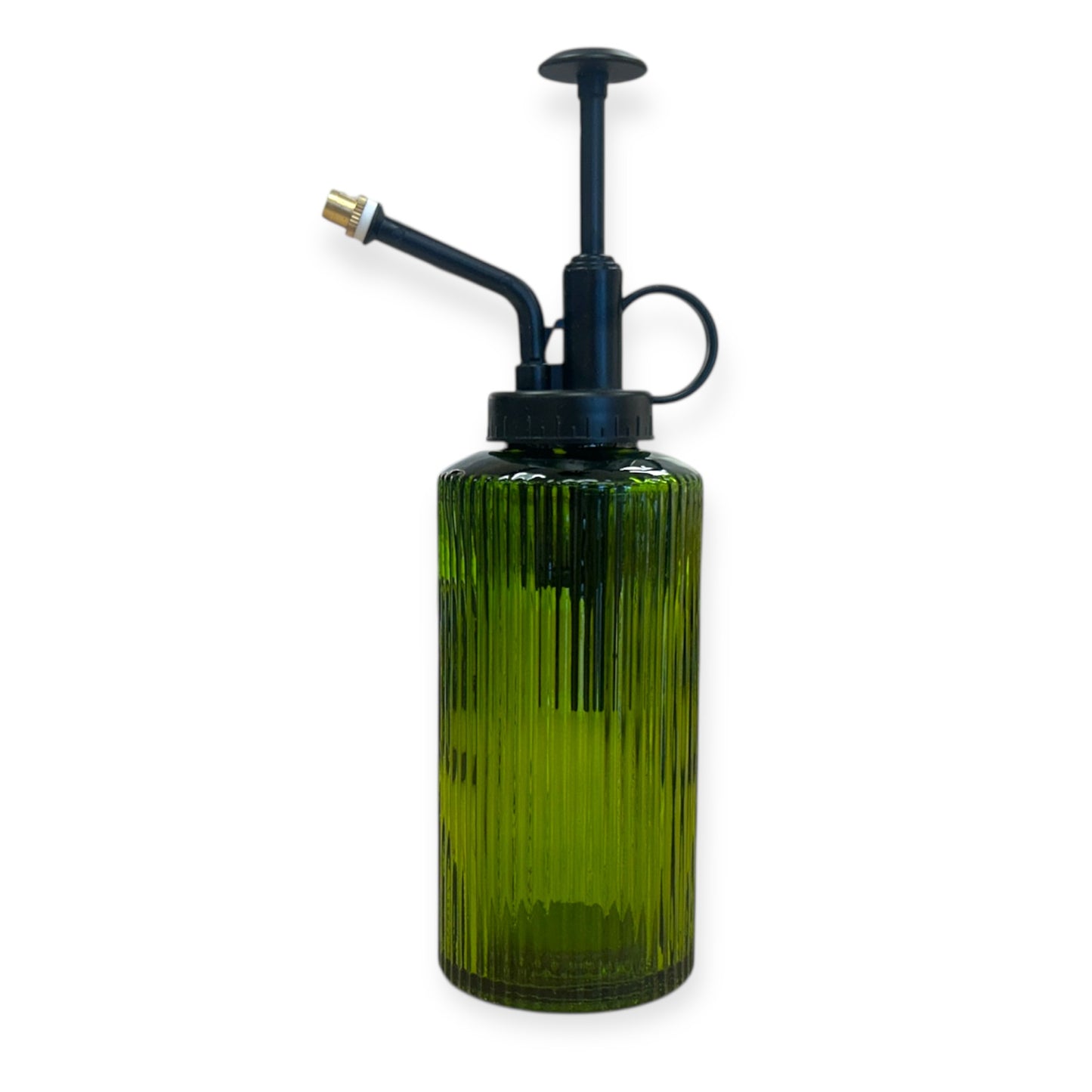 Plant Mister | Indoor Small Plants