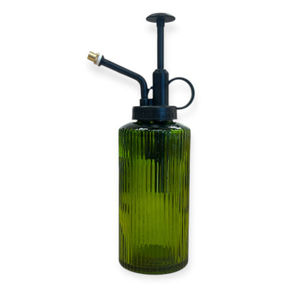 Plant Mister | Indoor Small Plants