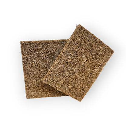 Non-scratch, compostable scourer pad 2-pack for effective and eco-conscious scrubbing.