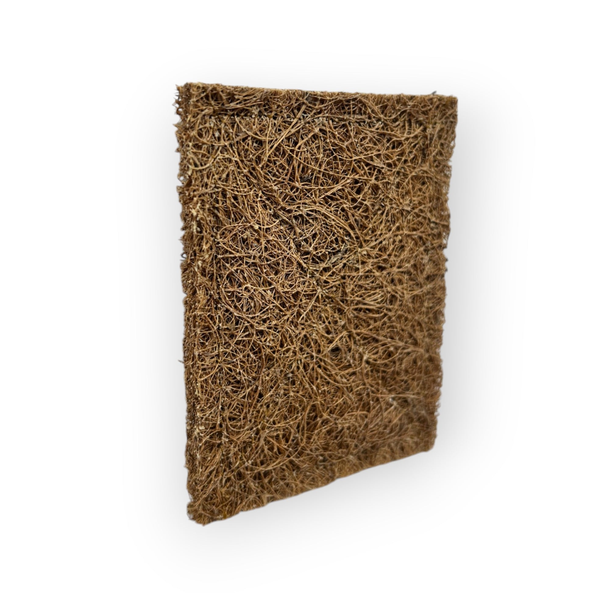 Heavy-duty, biodegradable scourer pads (2-pack) for a zero-waste kitchen cleaning solution.