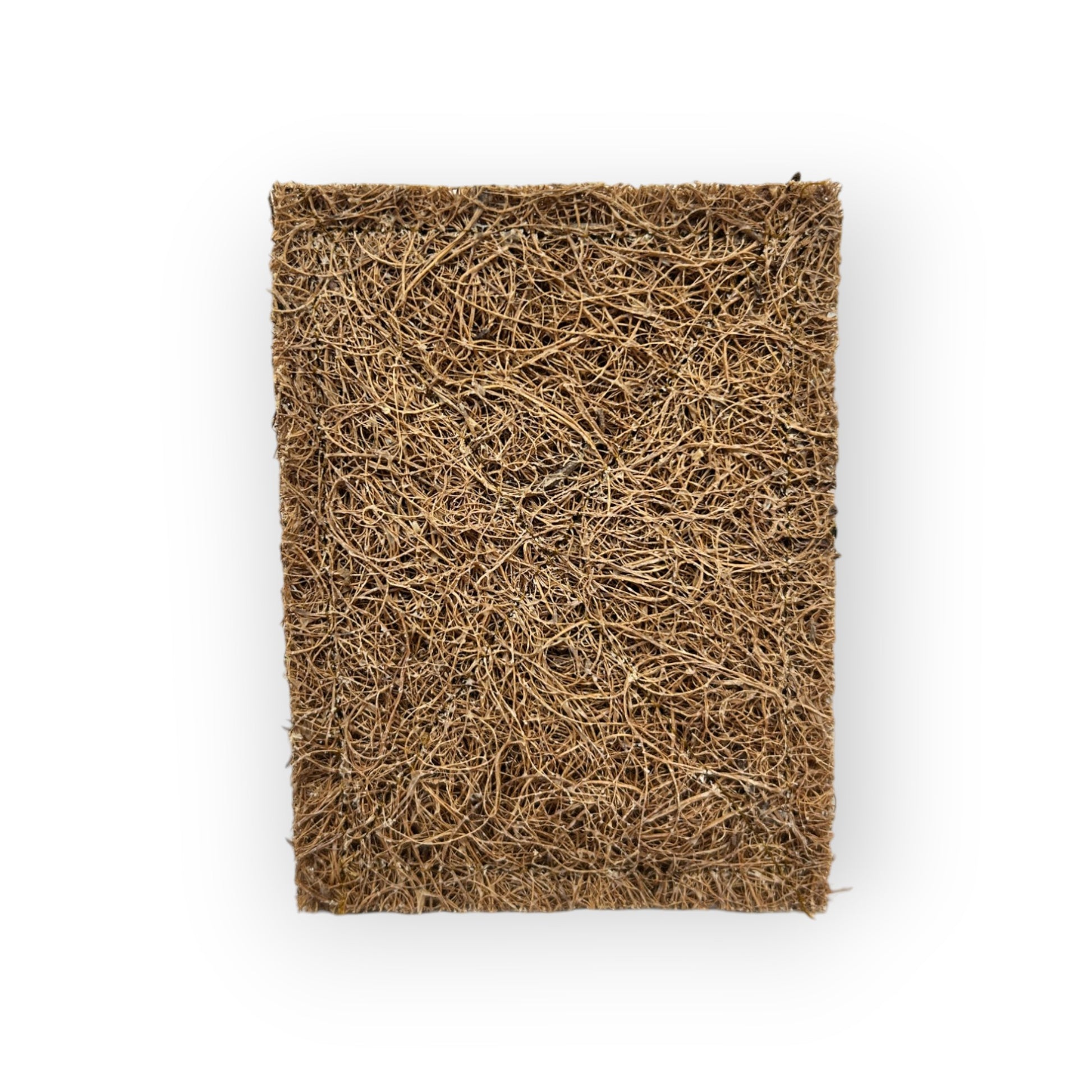 Sustainable 2-pack scourer pads made from natural fibers, perfect for scrubbing dishes and surfaces.