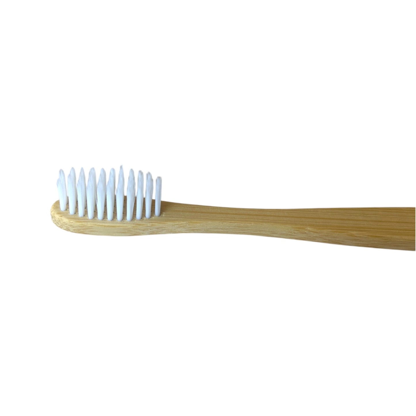 Cepillo de dientes | Bambú