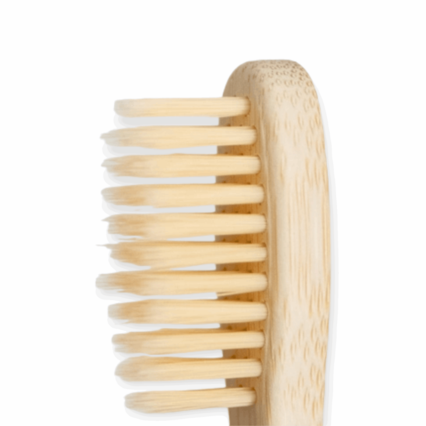 Toothbrush | MOSO Bamboo | Natural Bristles - Refillism